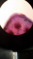 /album/fotos-microscopio/a11210433-10152991621961696-5512711400955494782-n-jpg/