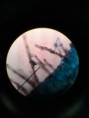 /album/fotos-microscopio/a11350650-10152991623476696-6806797407027111865-n-jpg/